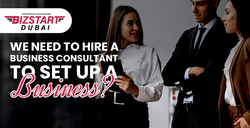 hire a business consultant
